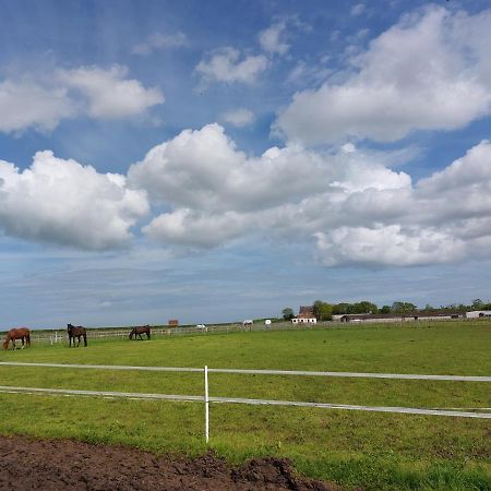 Braemar Equestrian, East Riding Of Yorkshire 호텔 Burton Pidsea 외부 사진