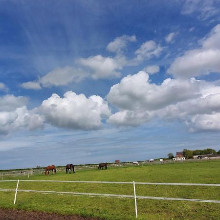 Braemar Equestrian, East Riding Of Yorkshire 호텔 Burton Pidsea 외부 사진