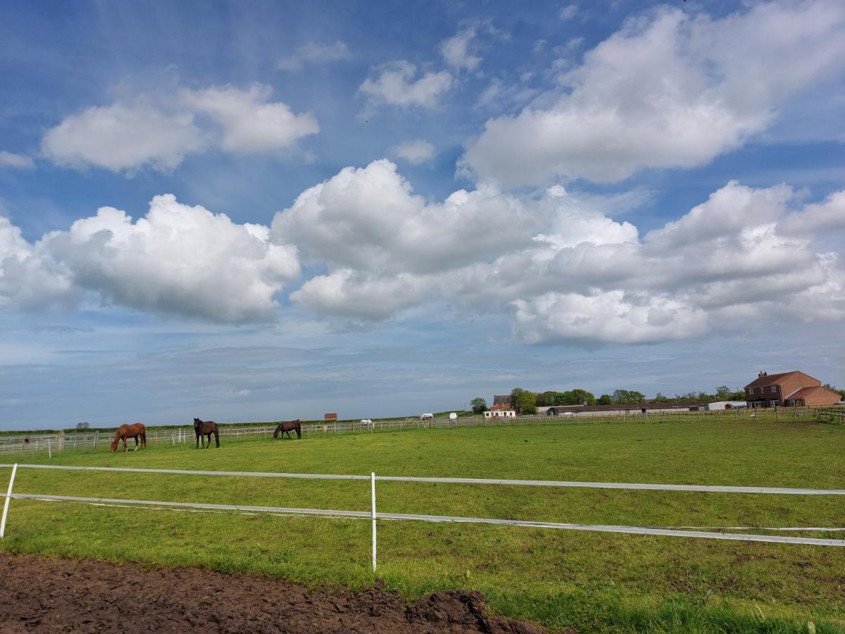 Braemar Equestrian, East Riding Of Yorkshire 호텔 Burton Pidsea 외부 사진