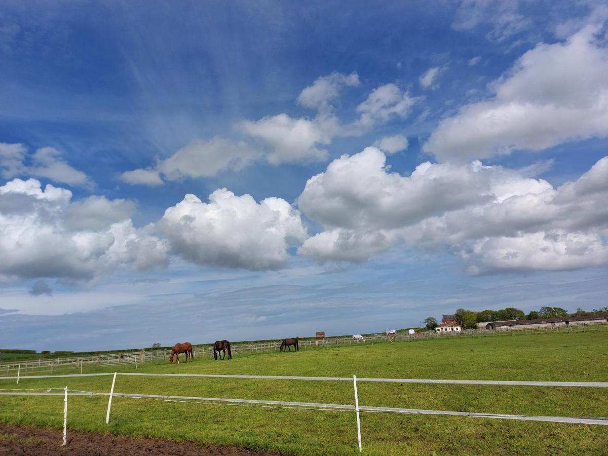 Braemar Equestrian, East Riding Of Yorkshire 호텔 Burton Pidsea 외부 사진