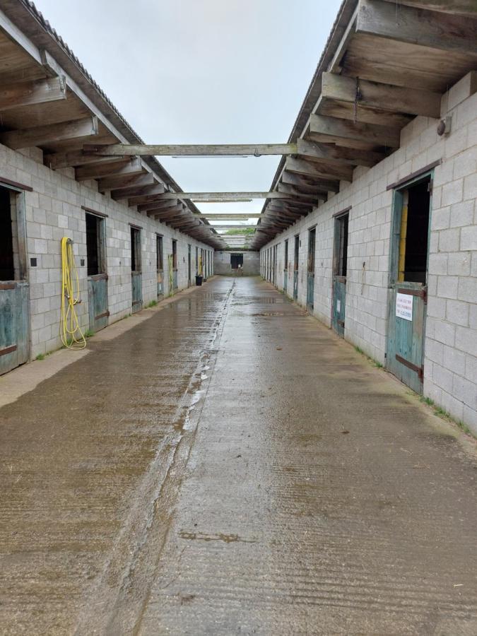 Braemar Equestrian, East Riding Of Yorkshire 호텔 Burton Pidsea 외부 사진