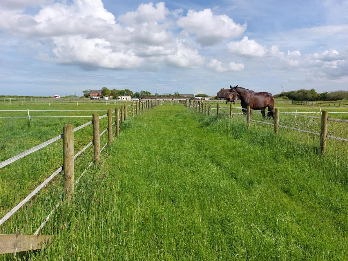 Braemar Equestrian, East Riding Of Yorkshire 호텔 Burton Pidsea 외부 사진
